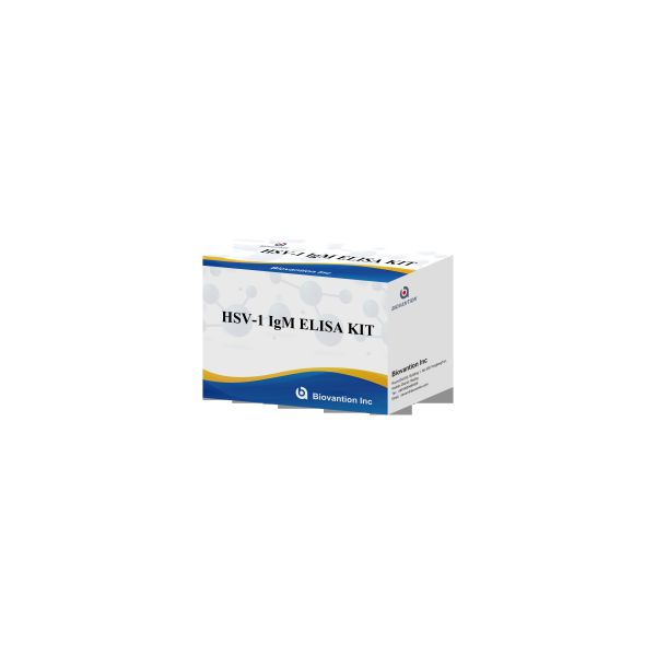 Torch ELISA Test Kit HSV 1 IgM High Hot Sale Diagnostic Reagent IVD
