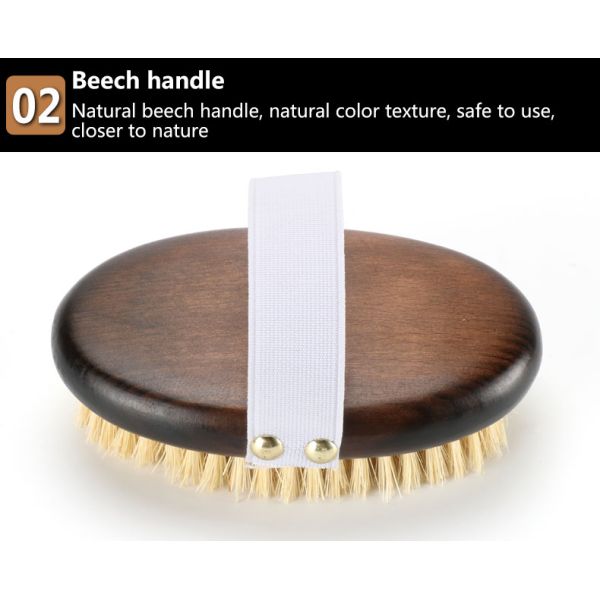 Oval Beech Wood Handle Body Brush r Dry Skin Shower Back Brush