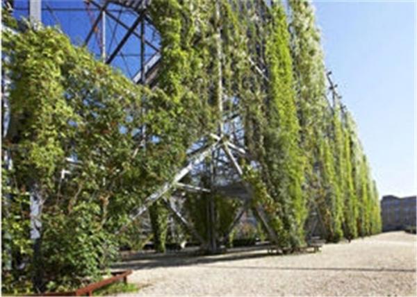 Ferrule Stainless Steel Cable Trellis 1.2mm Rope Diameter For Plant Climbing
