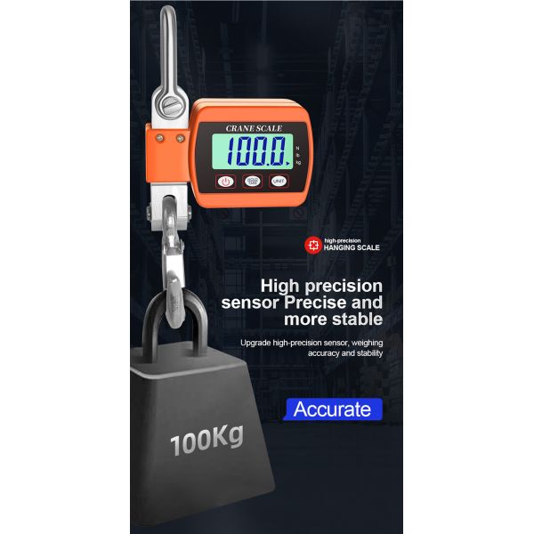 High Accuracy LED Display Electronic Scale for Lifting Weight 500kg Capacity Direct View 50g Accuracy