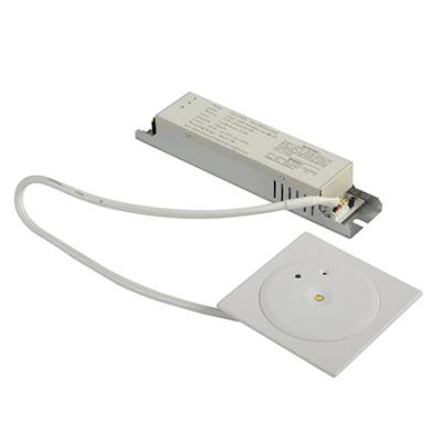 110V / o teto interno de 220V IP20 montou luzes de emergência para construções industriais