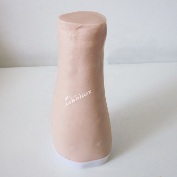 Skin Test Practice Simulator Human Life Size Intradermal Injection Training Arm Model