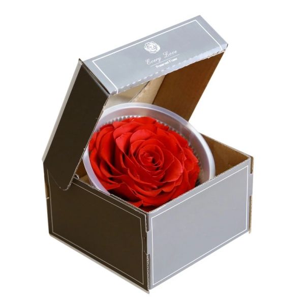 Hot selling preserved natural Roses in Round Box for Christmas gift Long Lasting Flowers