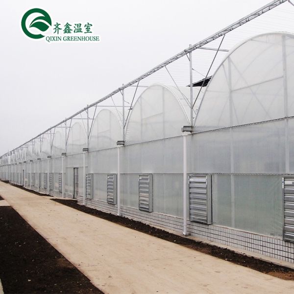 Large Steel Greenhouse Structure Shed Design With 150/200micro PE Film Covering