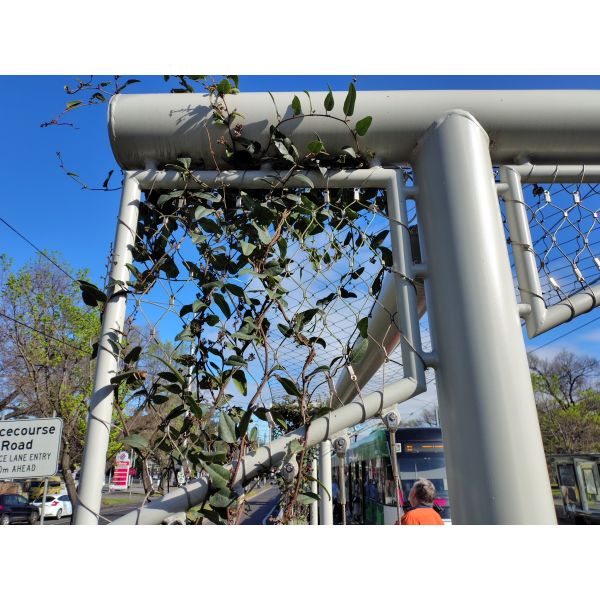 Family Outdoor Farm Stainless Steel Fence Rope Mesh/X Tend