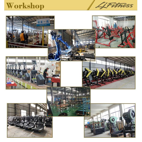 Тренировка прочности силы оборудования фитнеса дизайна подбрюшного хруста новая