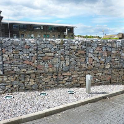 Garden Planting Of Plants With Galvanized wall Gabion Wall