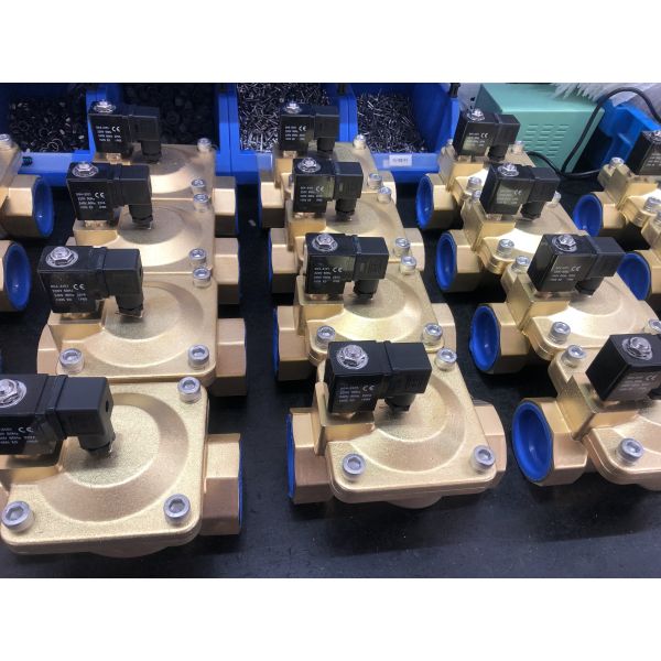 24V Plastic Water Solenoid Valve 2WSL-15 with 3-Year Warranty