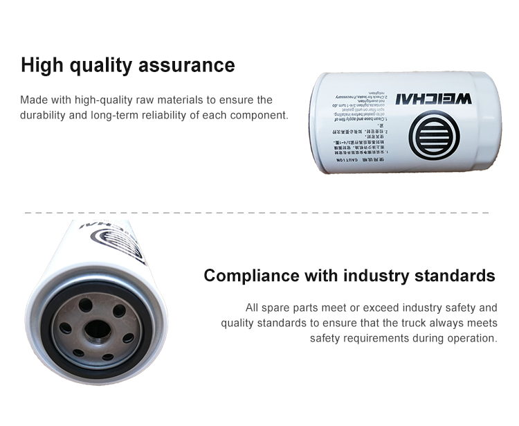 El filtro de aceite 1000428205 1000442956 para SHACMAN