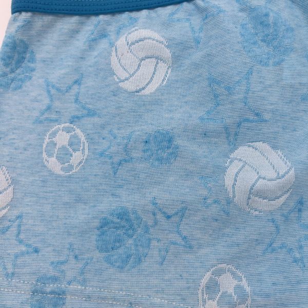 New Style Hot Selling High Quality Boys Boxer Underpants Comfortable Fashion Boxer Briefs at Wholesale Price