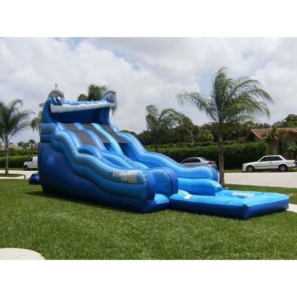 Скольжение воды майны голубой темы джунглей большое двойное с большим бассеином