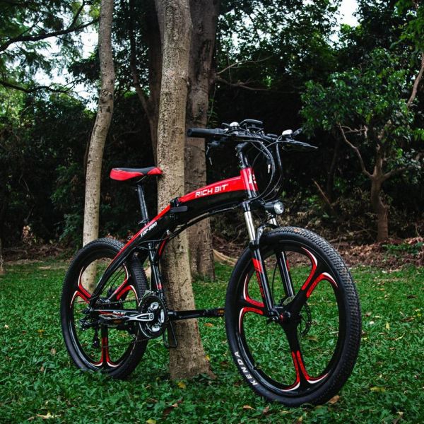 Умное складывая топ-880 Richbit формы электрического лития батареи 36v 250w 9.6ah велосипеда лунное