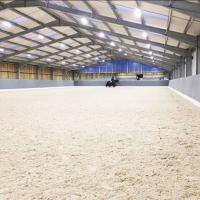 Étagères métalliques préfabriquées pour chevaux Étables équestres Édifices en acier