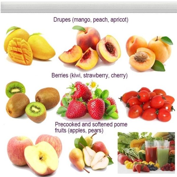 Industrial fruit pulper fruit jam make machine mango juice making machine