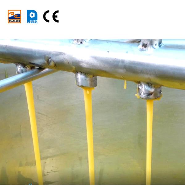 Stainless Steel Tart Shell Product Line Sugar Egg Rolled Cone Making Machine