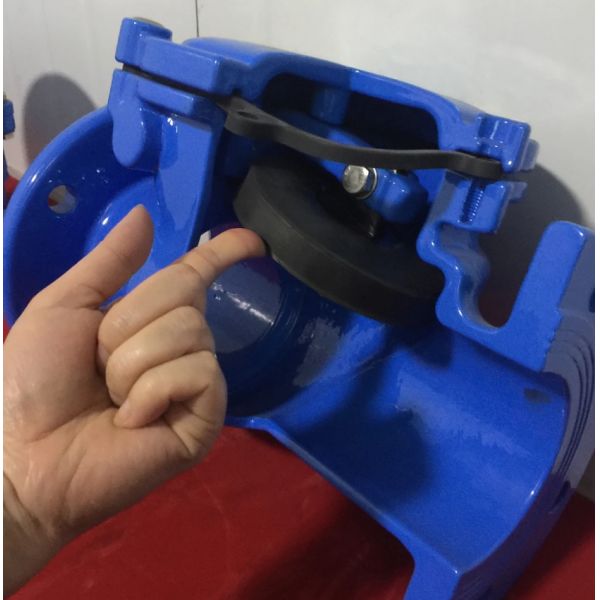 dn100 pn16 ggg50 din check valve