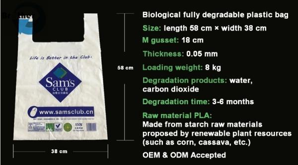 Recyclable Plastic Shopping Bag with Custom Logo Printing From China Supplier