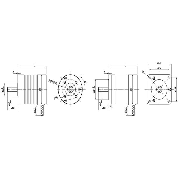 3 Phase 57mm Square 24v 36v 48v Gearbox Planetary Bldc Motor