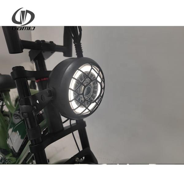 GOMID Electric Bike with Infix LCD Display High Power 4.0inch Fat Tire 48V 500W Retro E-Bike