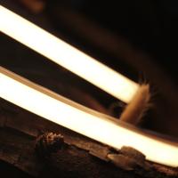 Courbure 16mm*15mm supérieure au néon de polyuréthane de puissance élevée d'IP68 Ledline Flex Top Warm White 2700K 65lm /W 5 ans de garantie