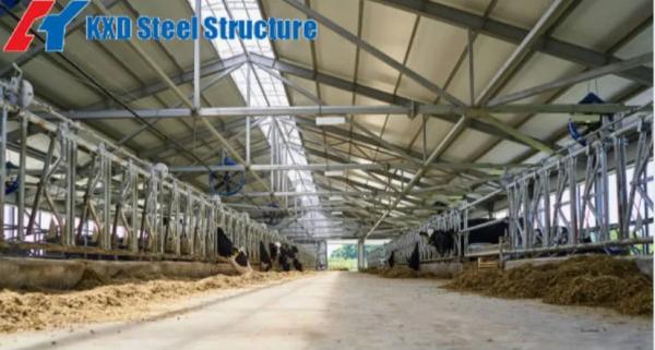 Steel Structure Prefab Poultry House Wind Resistant Pre Engineered Steel Cowshed
