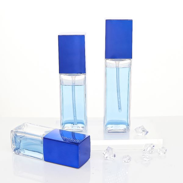 100ml Recyclable Leak-Proof Plastic Cosmetic Bottle for Lotion and Cosmetic Packaging