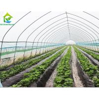 Poly serre chaude de tunnel d'envergure simple commerciale pour des tomates