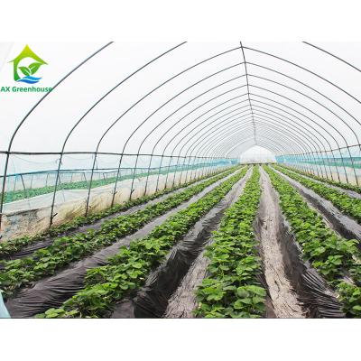 Estufas polis personalizadas do túnel para os tomates que crescem medidores do quadrado 10*30