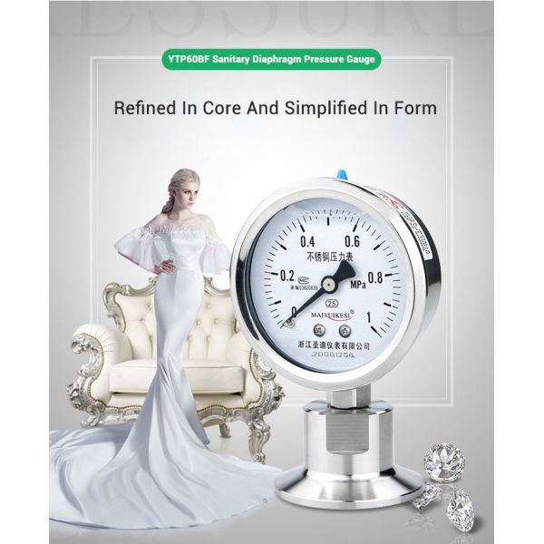CE Certified 2.5% Precision Customized Clamp Diaphragm Pressure Gauge for Manufacture