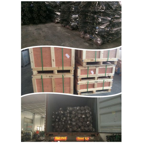 3/4 полностью плавая цапф трейлера дифференциальных задних с механическим тормозом для загрузки 1t