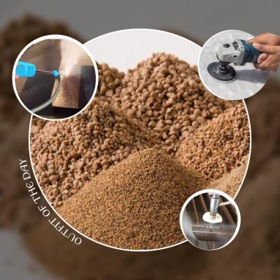 Nutshell Filter Media 1.28cg/M3  Walnut Shell Abrasive For Filtering Filling