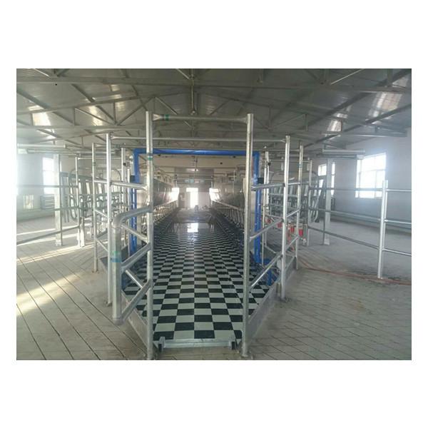 11kw Vacuum 3800L Parallel Parlor Milking Systems 128 Cows Per Hours