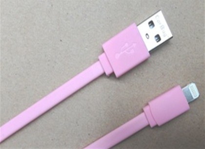 Iphone5 Data& Charge Cable