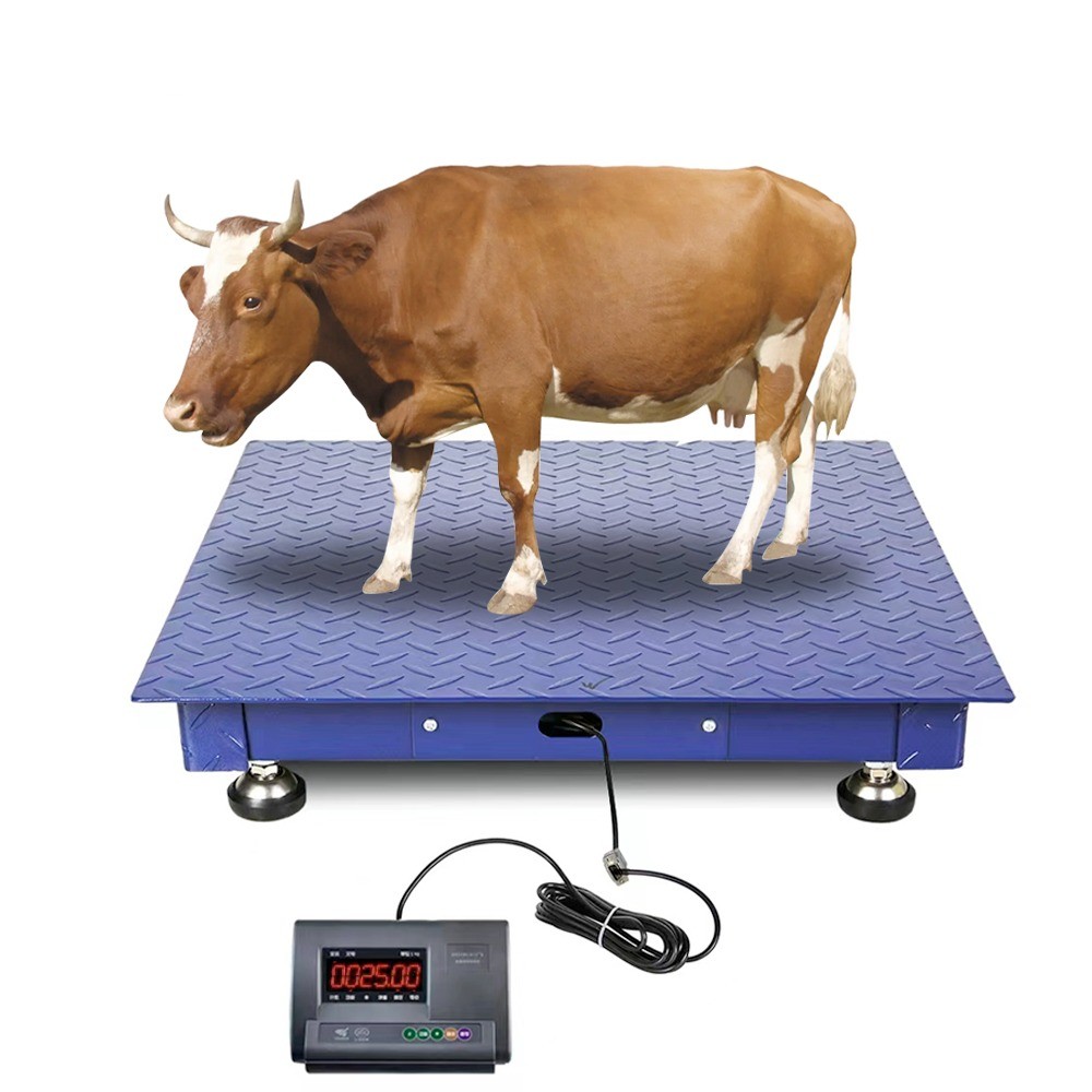 Industrial Electronic Balance Platform Floor Weighing Scales with Customized OBM Support and Carbon Steel