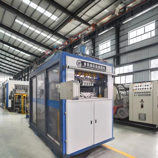 Max Forming Depth of 250mm Thermoforming Machine for PET and Perfect Plastic Products