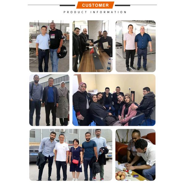 Professional Commercial Chicken French Fries Deep Frying Machine Industrial Electric Fryer