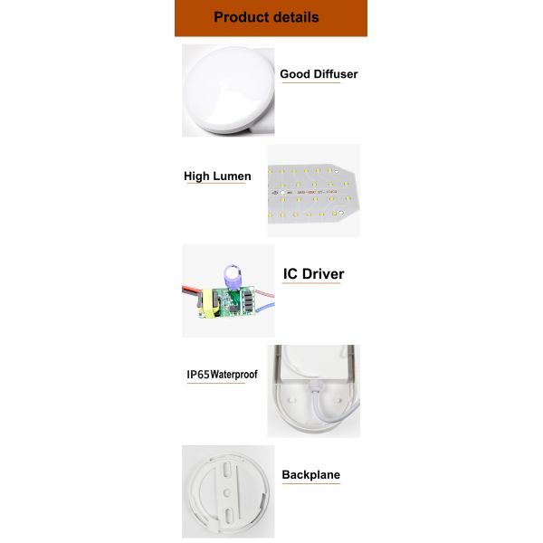 NO Dimmer 15w 20w IP65 Wall Mounted Outdoor LED Moisture-Proof Lamp for Russia Buyers
