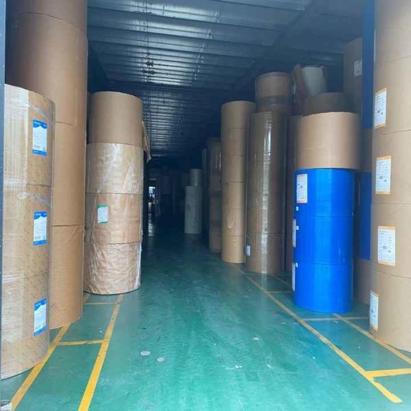 Factory Greaseproof Waterproof Single Double Wall PE Coated Kraft Paper Roll Food Grade Raw Material For Paper Cup