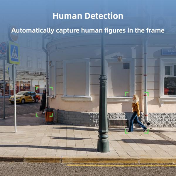 Camera De  IR Full Color CCTV Dome IP POE Network Camera Cctv 2.8mm Night Vision Poe 5mp Dome Security Camera