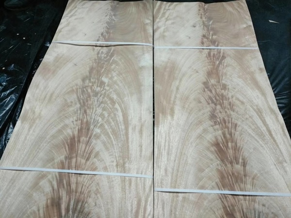 0.6mm thickness Mahogany, African Khaya Crotch Wood Veneer for Furniture Usage