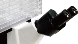 Inverted Biological Microscope B60iL Special Microscope For Cell Factory Observation