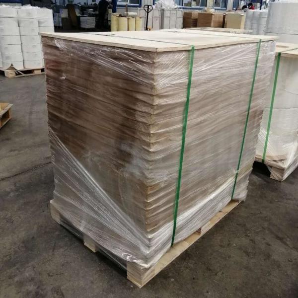 Self-Adhesive Sticker Paper from Direct with Single Side Coating and Virgin Pulp Style