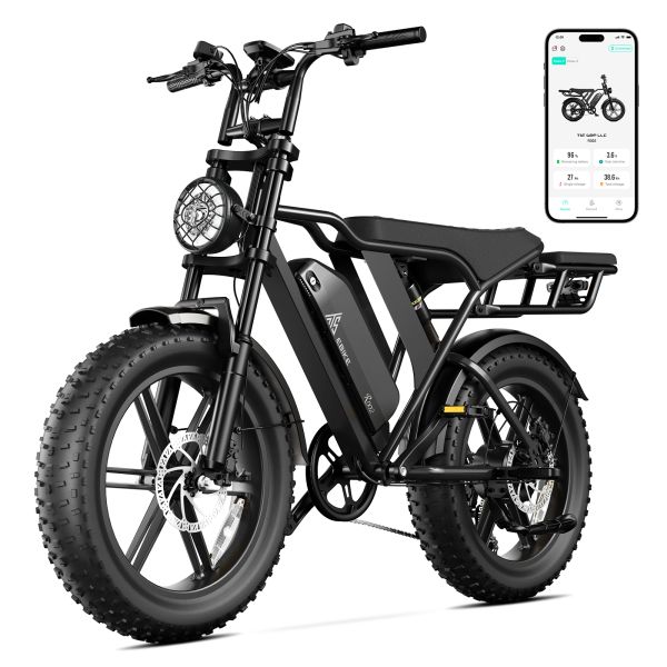 EU Stock R002 Pro DDP Delivery 20A Lithium Battery 105km Electric Fat Tyre Hybrid Cycle Rear Hub Motor Brushless Disc Brakes