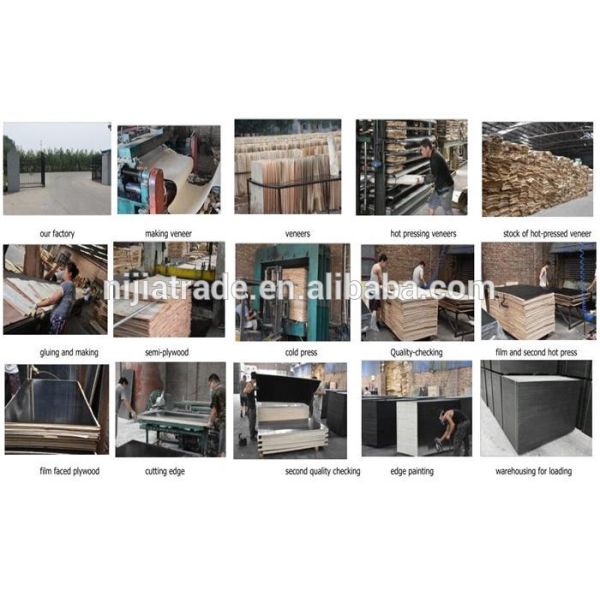 18mm black browm film faced plywood / construction plywood