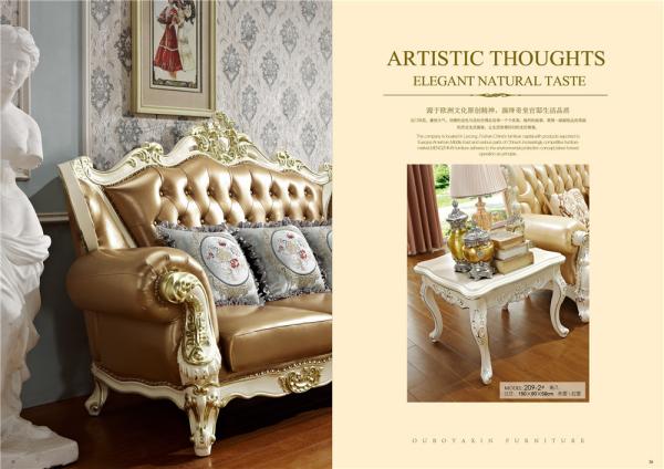 Leather Design Living Room Funiture Sofa Home