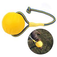 Boule de jouet pour animaux de compagnie Multicolore personnalisable Eva Corde pour chiens Mastication de l' entraînement Solid Elastique