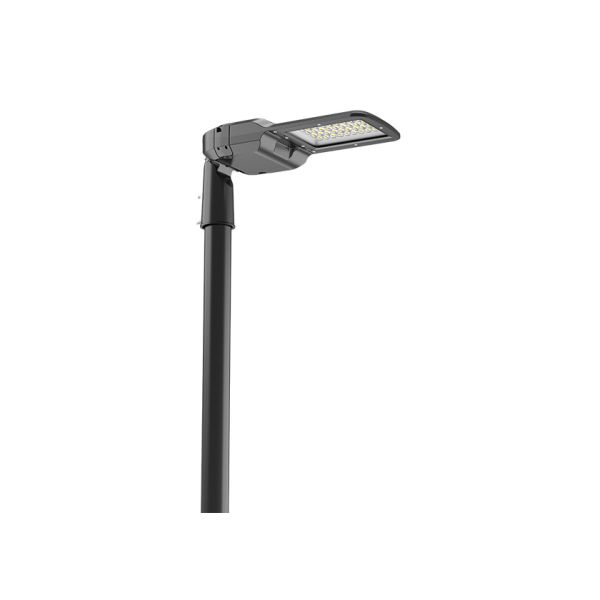 EAGLE GEN4 TUV ENEC ENEC PLUS+ CB CE RoHS Certified 30W DALI-2 LED Street Light 195lm/W With 7 PIN NEMA Socket Shorting Cap and 10KV SPD Tool-free opening and Self-cleaning Design