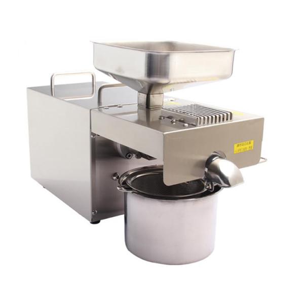 Evenly Distributed Heat Household Oil Press Machine 49*40*26cm Dimension