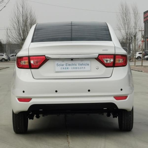 Raysince good quality mini electric vehicle wholesales cheap price electric mini vehicle for family car
