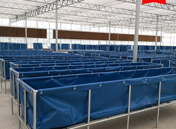 2000L Tanque de peces de lonas de doble nivel, agua segura Tanque de peces de lonas de estanque plegable